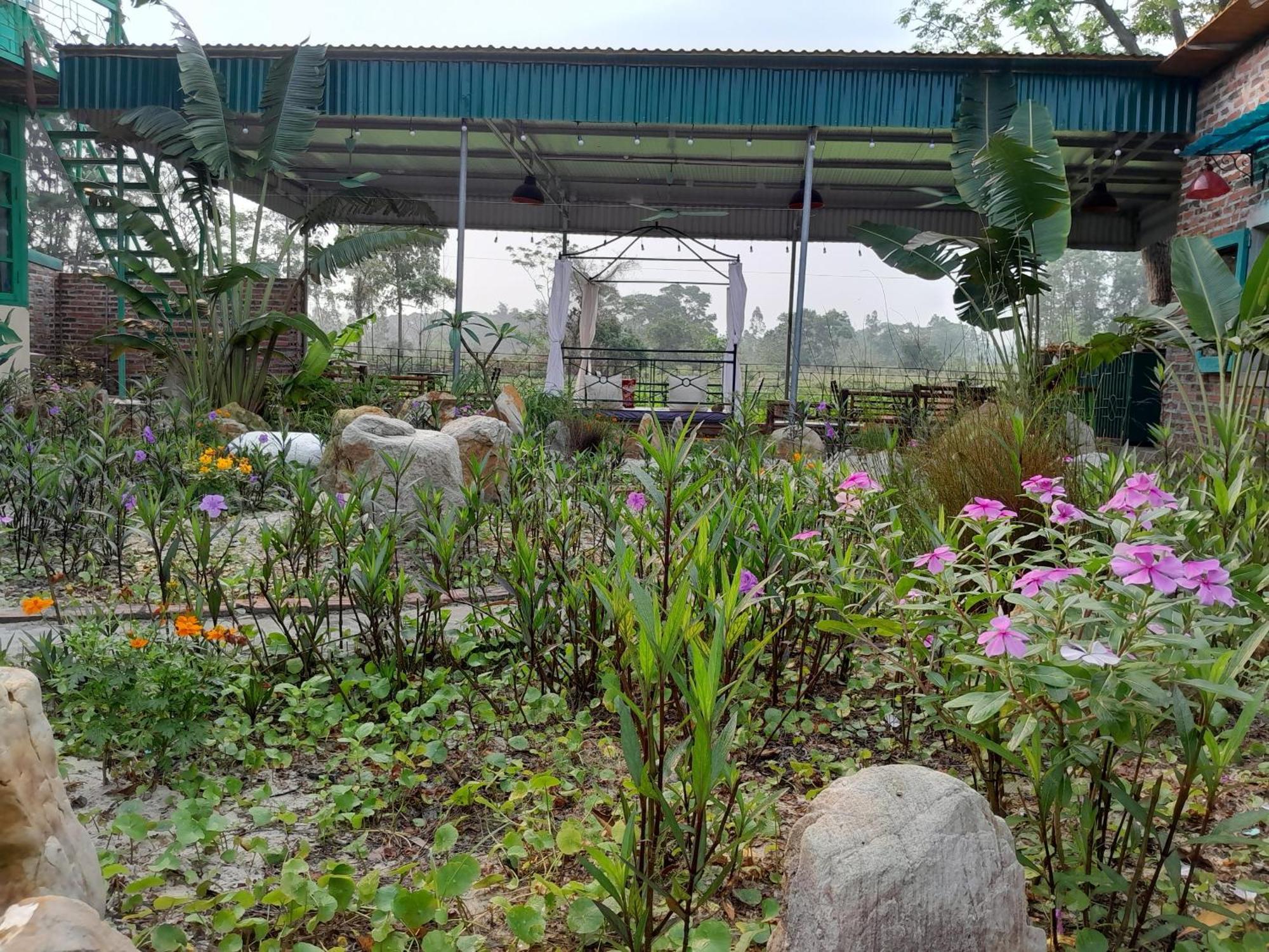 Mina Cafe & Stay Quan Lạn-Insel Exterior foto